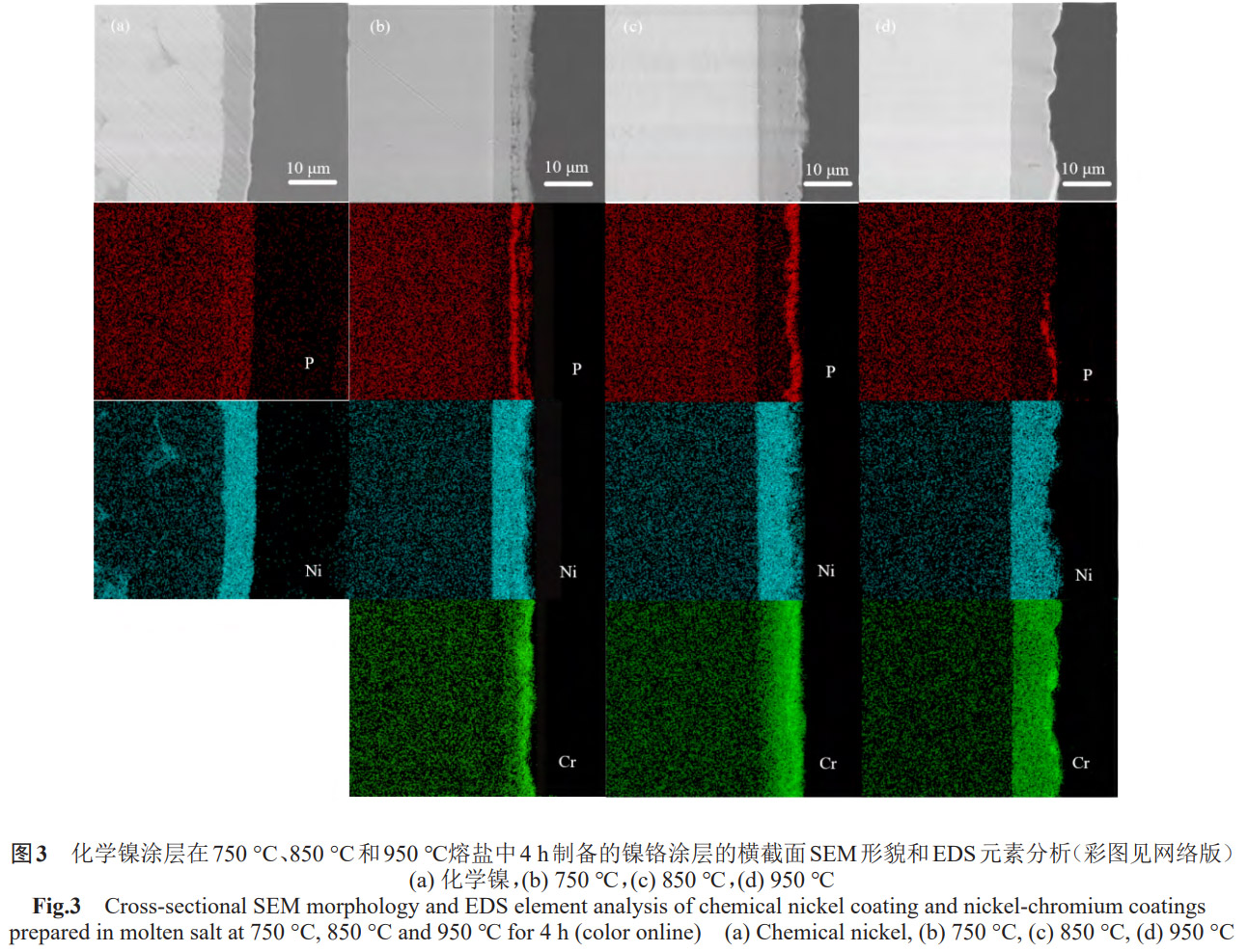 高純鎢基體兩步法制備鎳鉻高溫抗氧化涂層工藝探究：化學(xué)鍍鎳預(yù)處理與熔鹽熱擴(kuò)散溫度梯度調(diào)控對涂層微觀形貌、元素分布及界面結(jié)合強(qiáng)度的影響機(jī)制解析