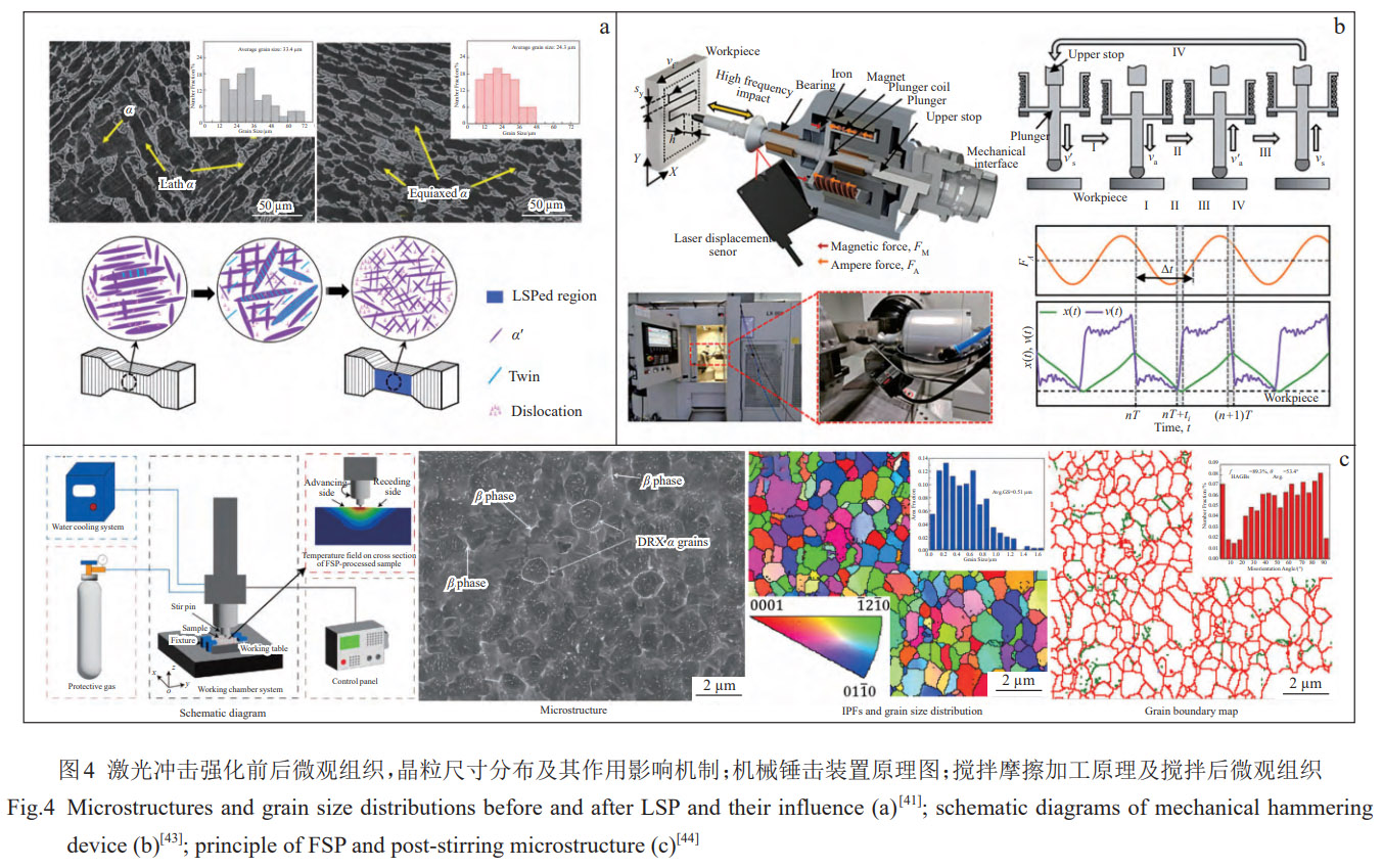 增材制造TC4合金微觀組織等軸化精準調控研究進展——從微合金元素摻雜外場物理干預到熱處理工藝優化，系統解析晶粒細化與等軸化內在規律