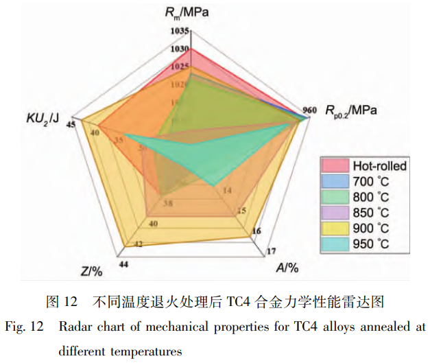 軋制-退火協同調控下艦船用大規格TC4鈦合金板材的組織演變機制與力學性能各向異性優化研究——聚焦初生α相/次生α相調控及900℃退火工藝的弱織構增強效應