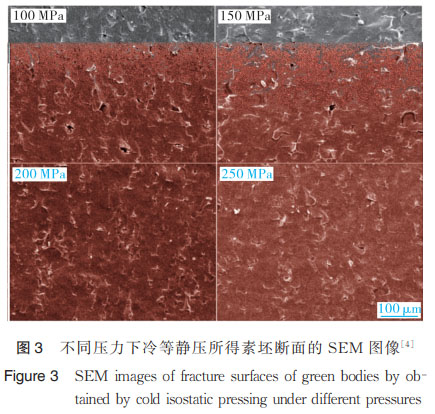 1669534015831112.jpg t3.jpg