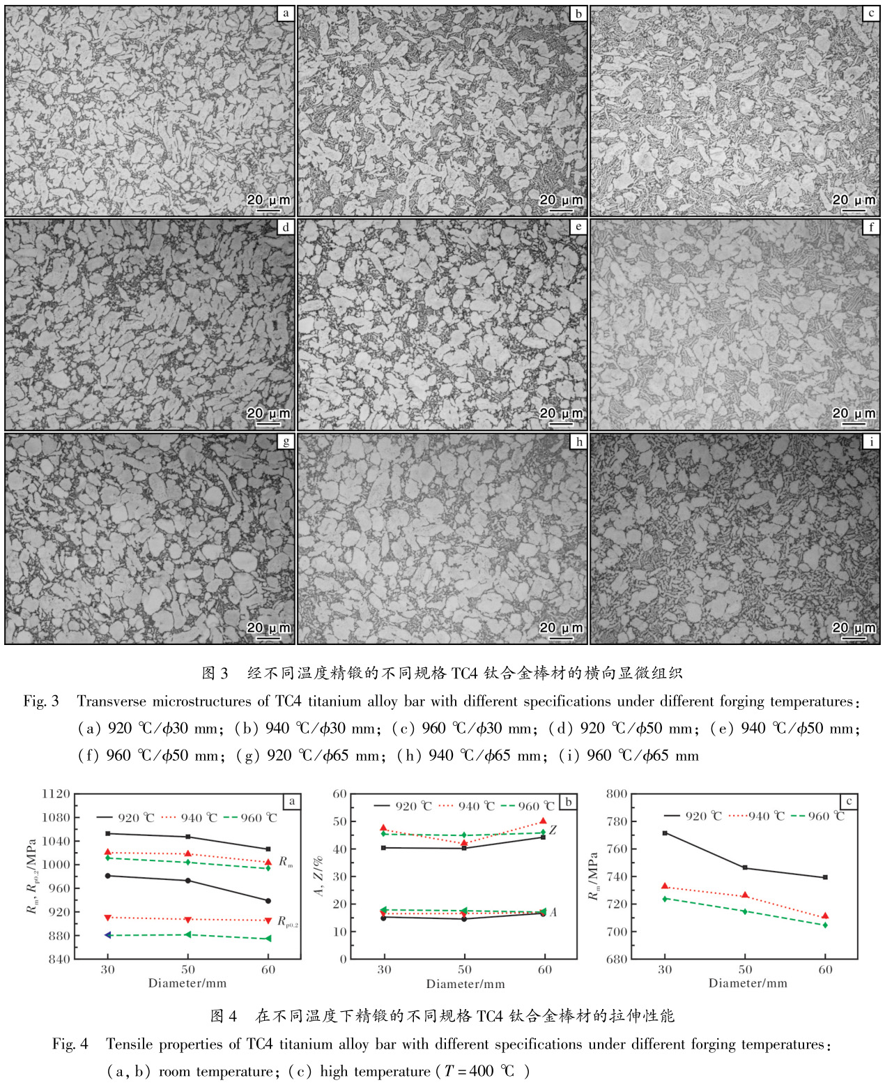 1686564265763362.jpg t3-4.jpg