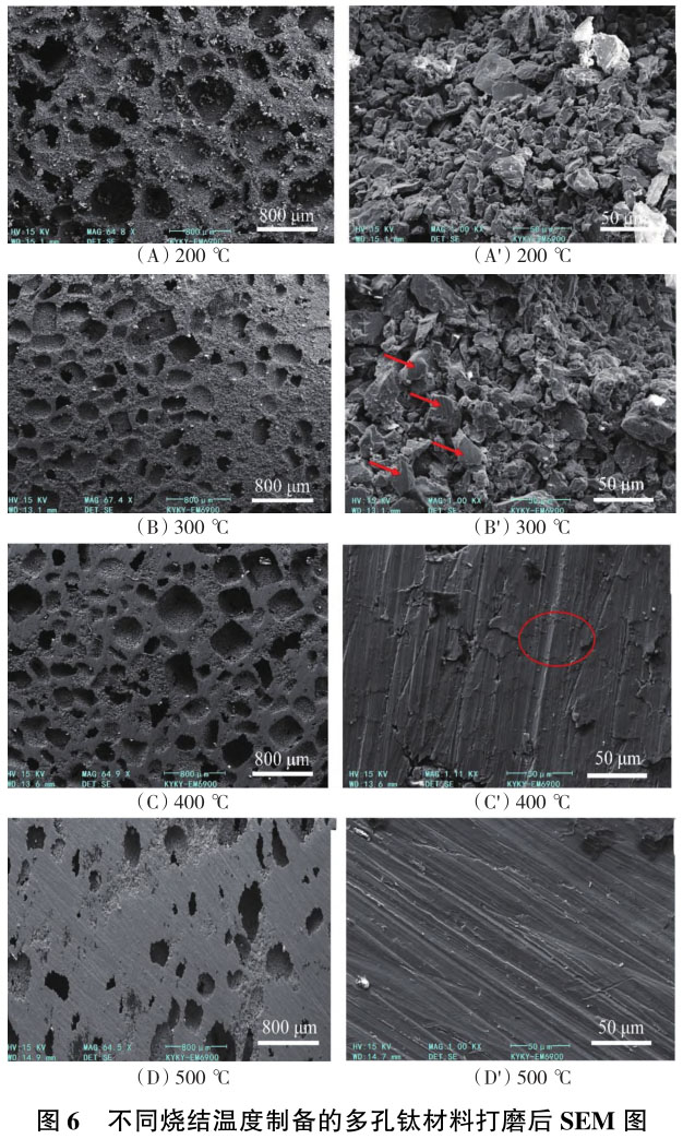 1706104815257661.jpg t6.jpg