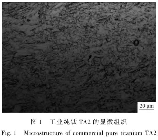 1706182149285326.jpg t1.jpg