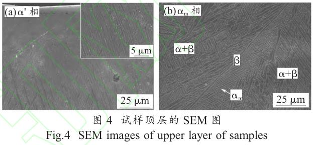 1706191508470059.jpg t4.jpg