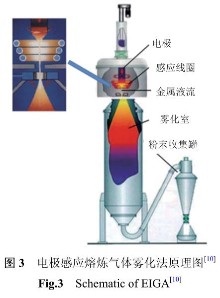 1721484075820351.jpg t3.jpg