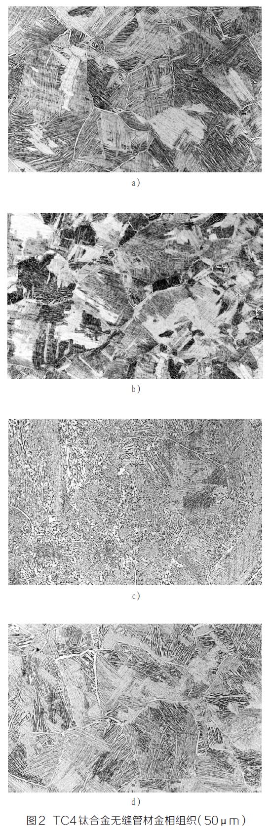 1671061949239706.jpg t2.jpg