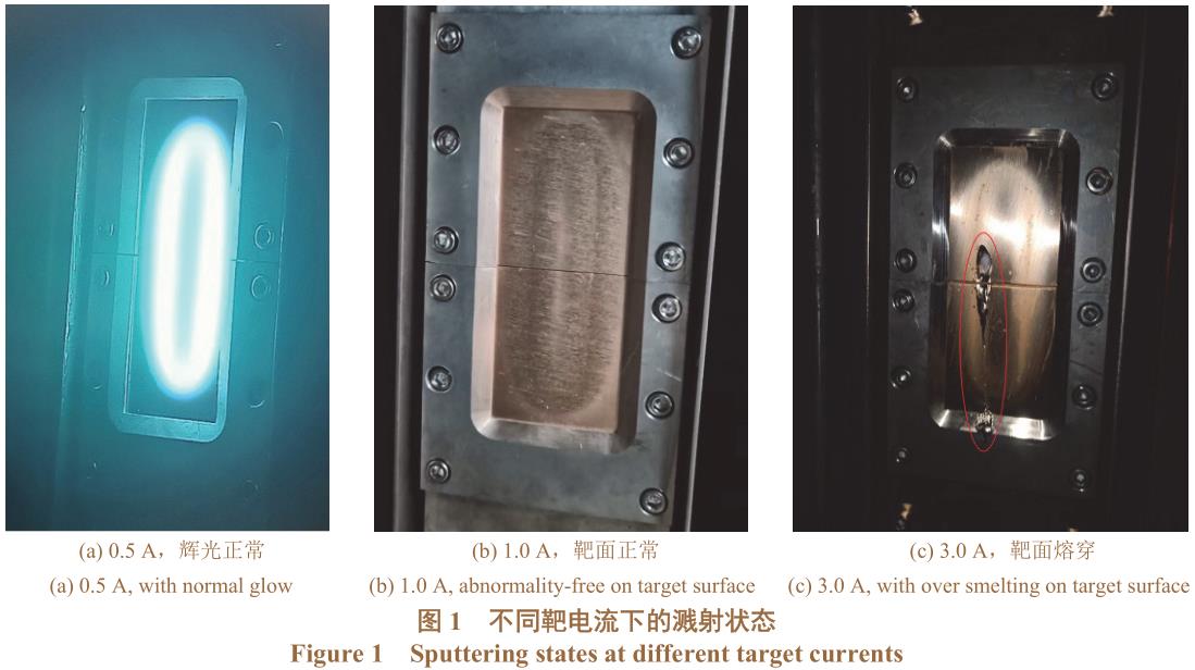 1725334225624976.jpg 360截圖166305036212063.jpg