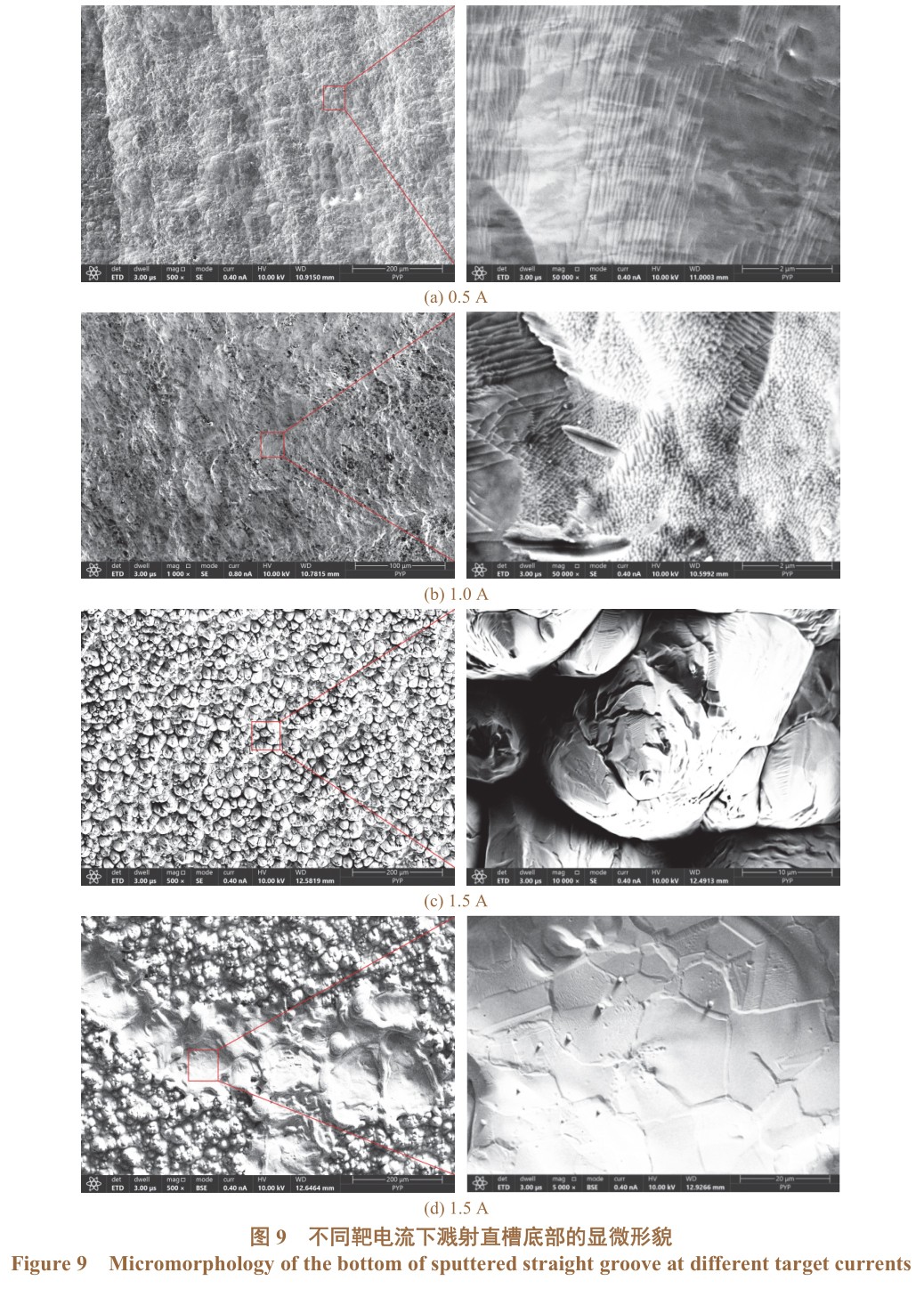 1725334342603888.jpg 未標題-1.jpg