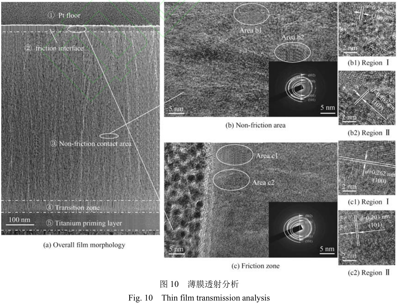 1725376938174730.jpg t10.jpg