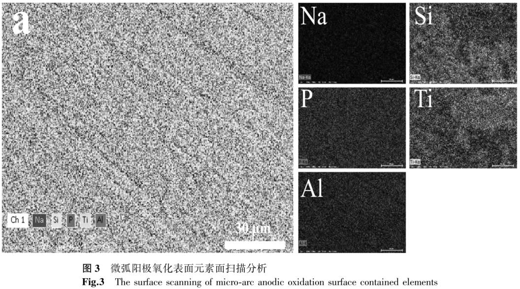 1728136260356377.jpg 360截圖16640325113114104.jpg