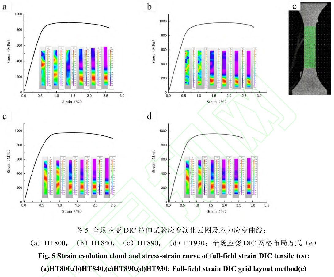 1729342721611611.jpg 5.jpg