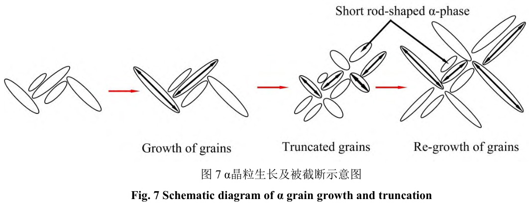 1729342735226564.jpg 7.jpg
