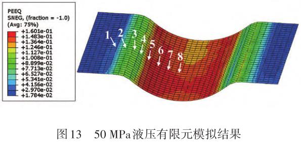 1729825335366822.jpg t13.jpg