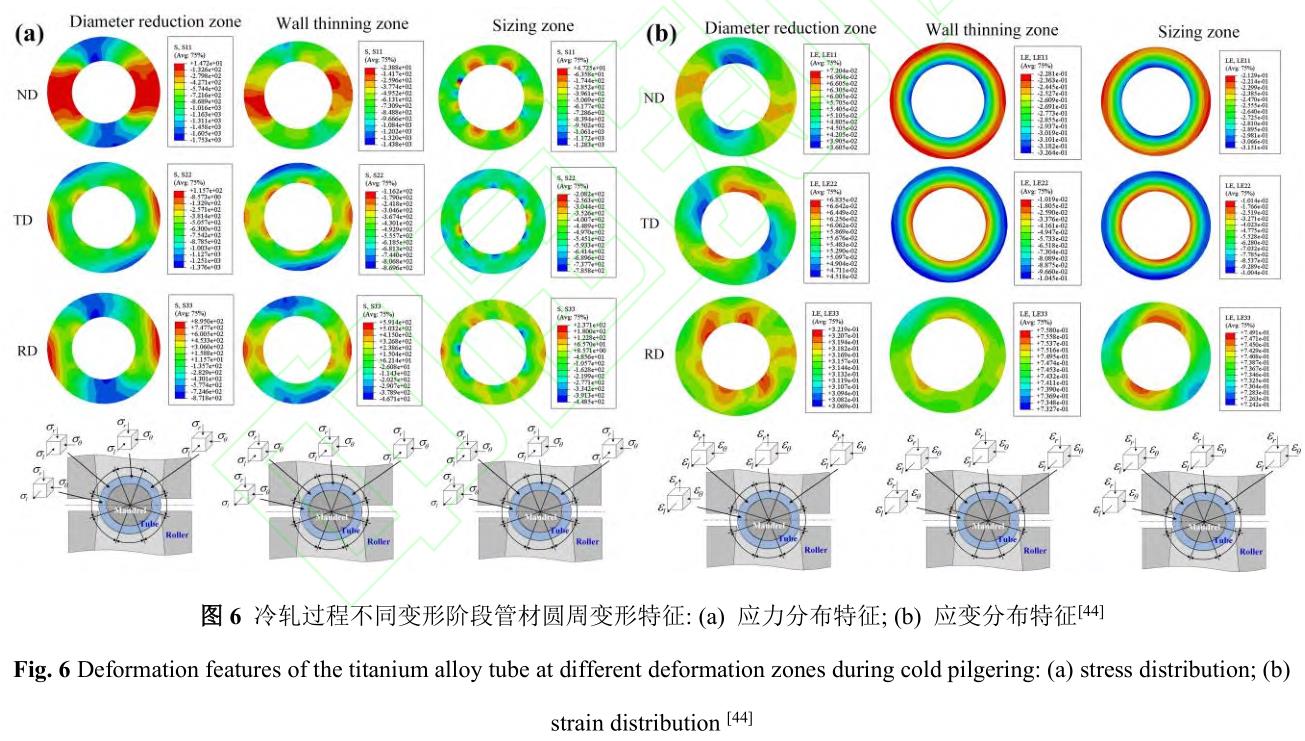 1729844217546917.jpg 6.jpg