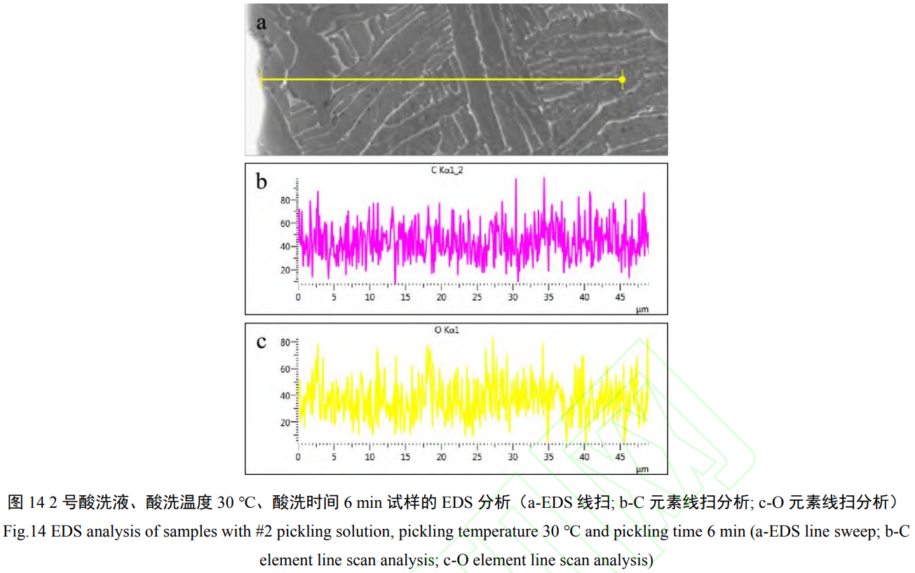 1732265344861710.png 14.png