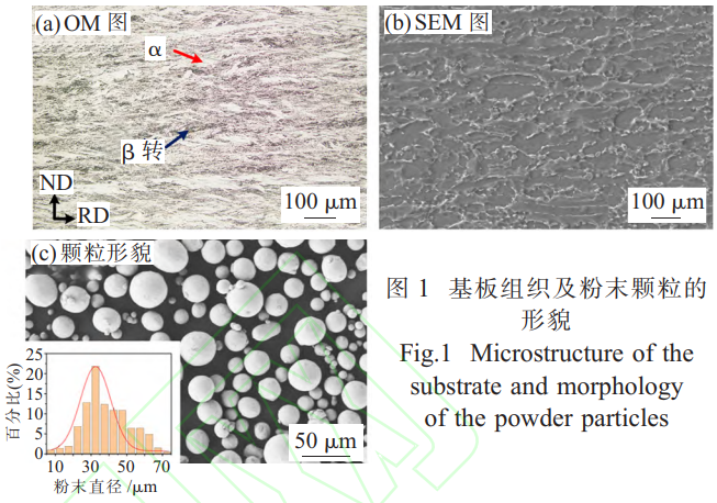 1734877992424346.png 1.png