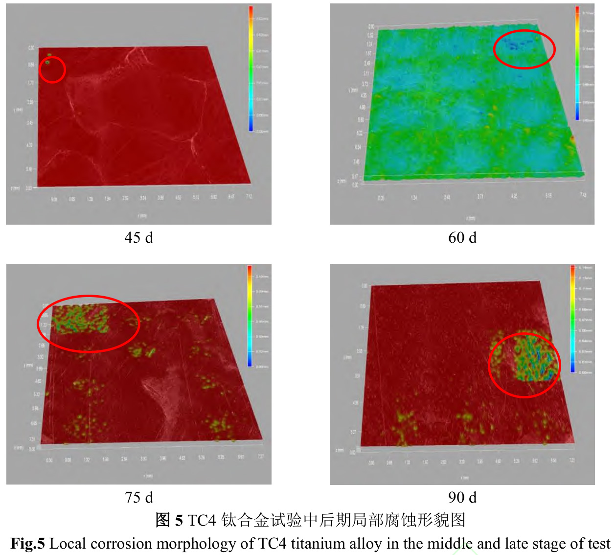 1734944894949120.jpg 5.jpg