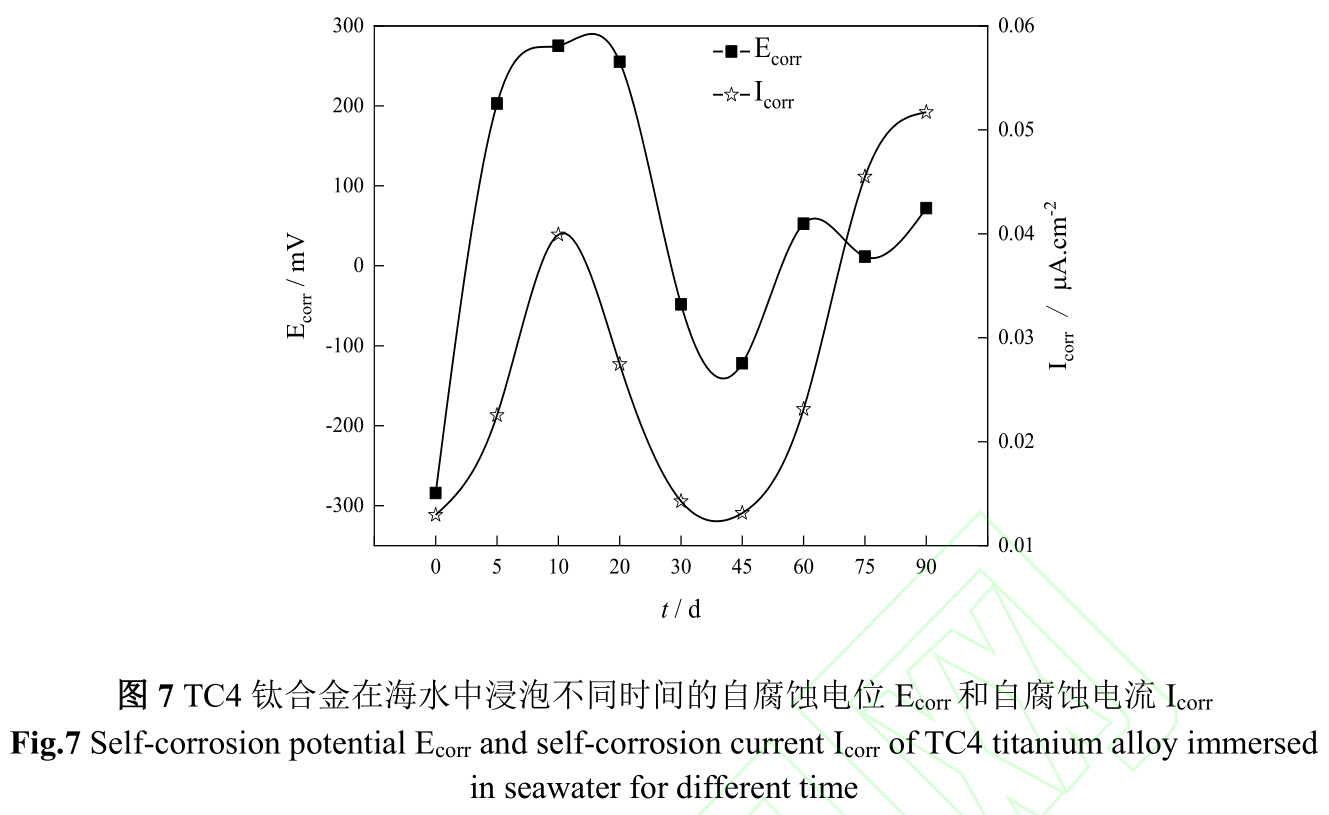 1734944917381639.jpg 7.jpg