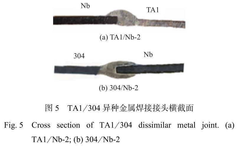 1735030025929783.jpg 5.jpg