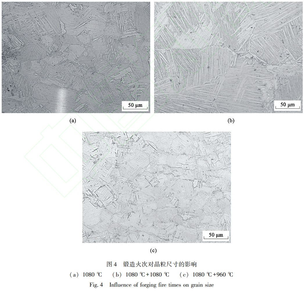 1737989578666622.jpg 4.jpg