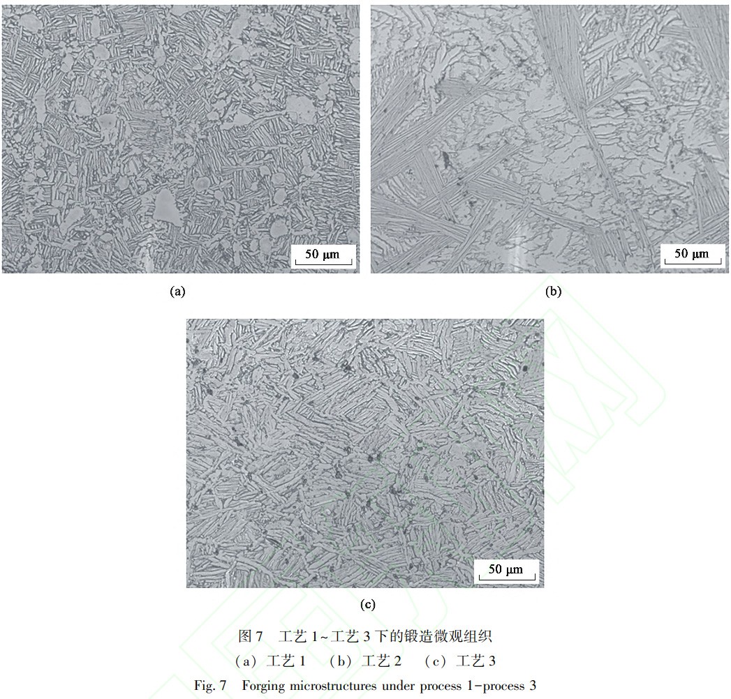 1737989626603312.jpg 7.jpg