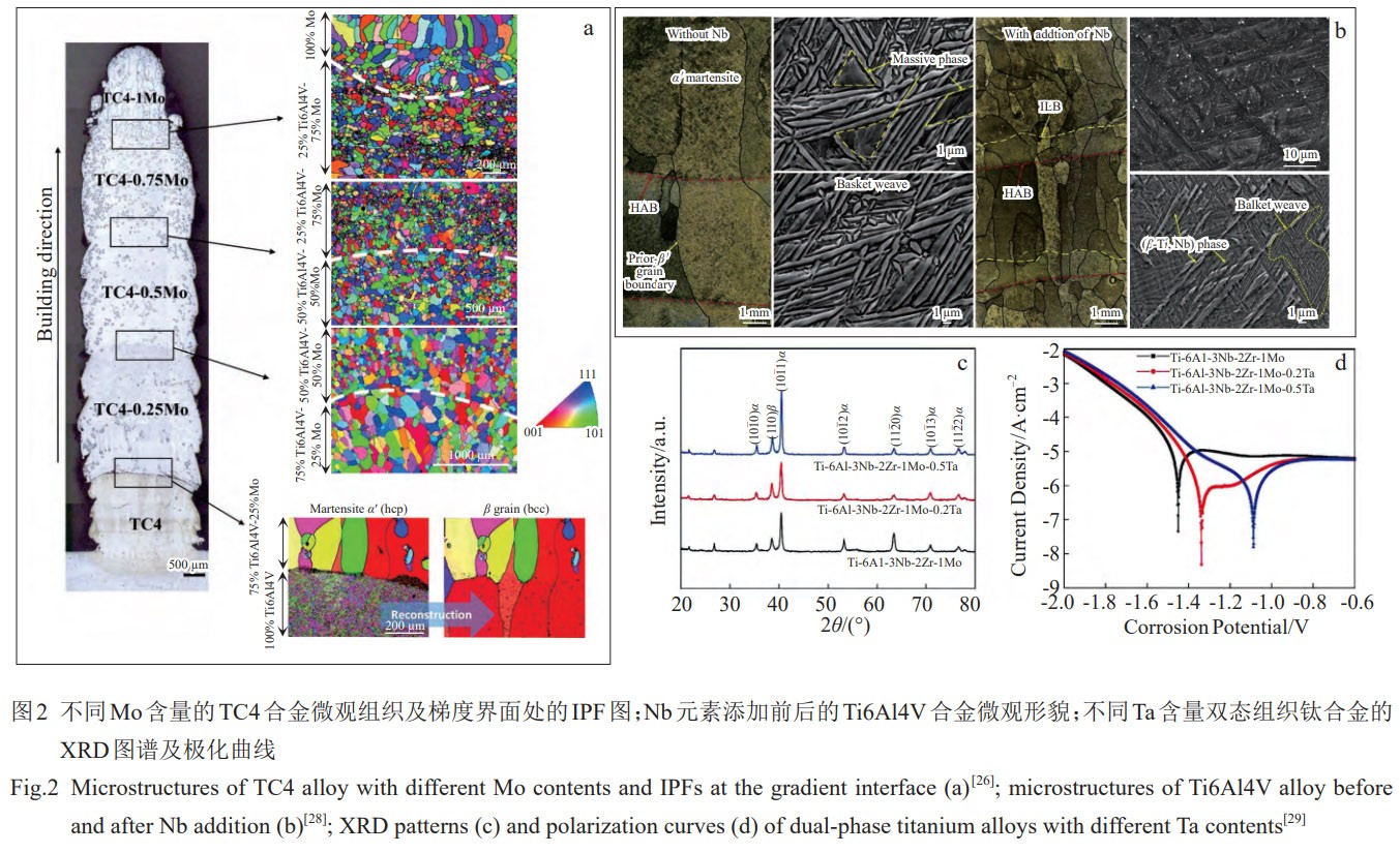 1774919547217466.jpg 2.jpg