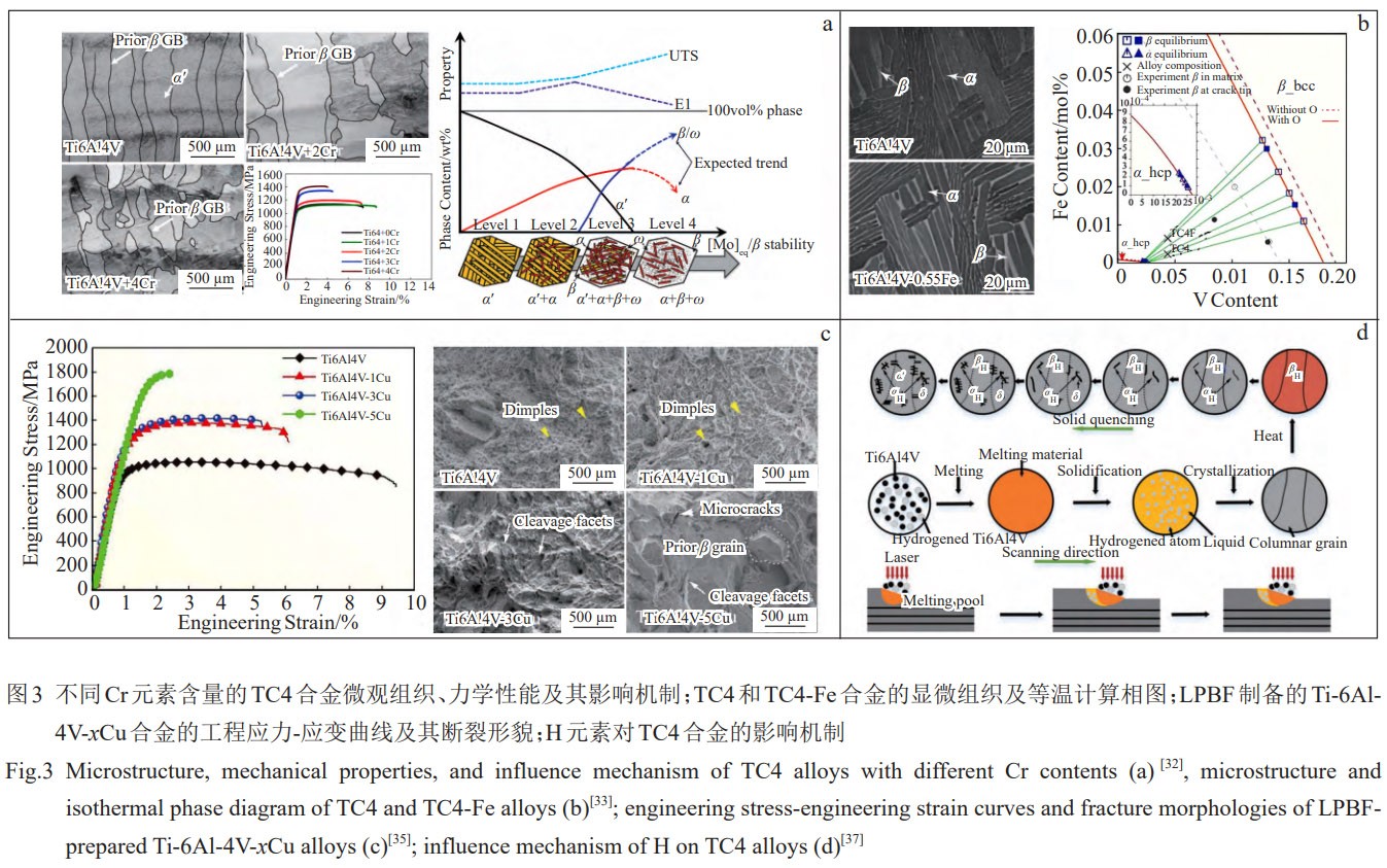 1774919587714779.jpg 3.jpg
