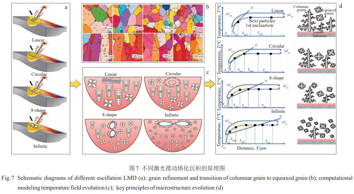 1774919623534693.jpg 7.jpg