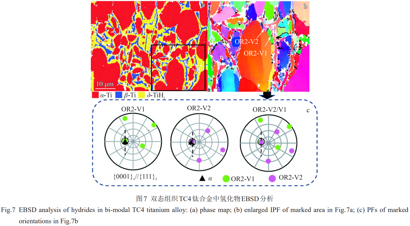 1774945868407735.png 7.png