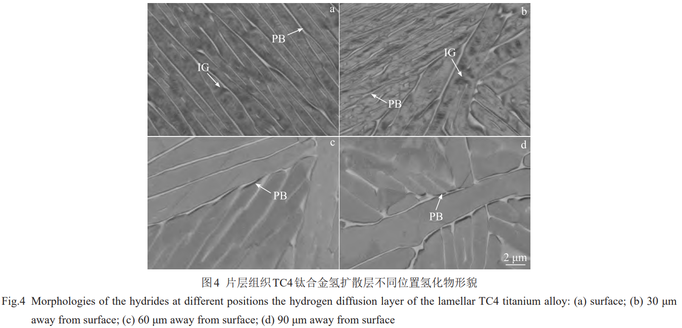 1774945963519341.png 4.png