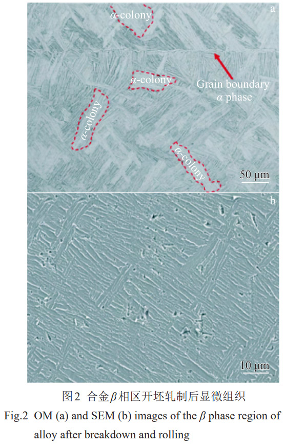 1774953498912951.jpg 2.jpg