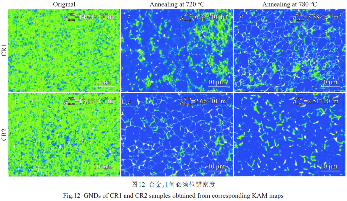 1774954261478316.png 12.png